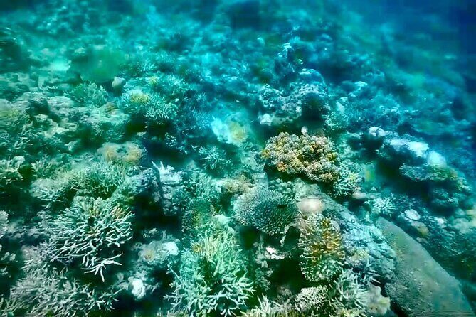 Rangko Cave & Beach Snorkeling Half Day Sharing Trip Labuan Bajo - FAQs