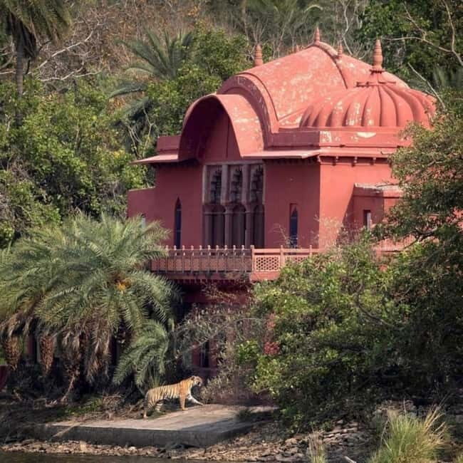 Ranthambhore: Ranthambhore Tiger Reserve Booking - Authentic Experiences & Honest Feedback