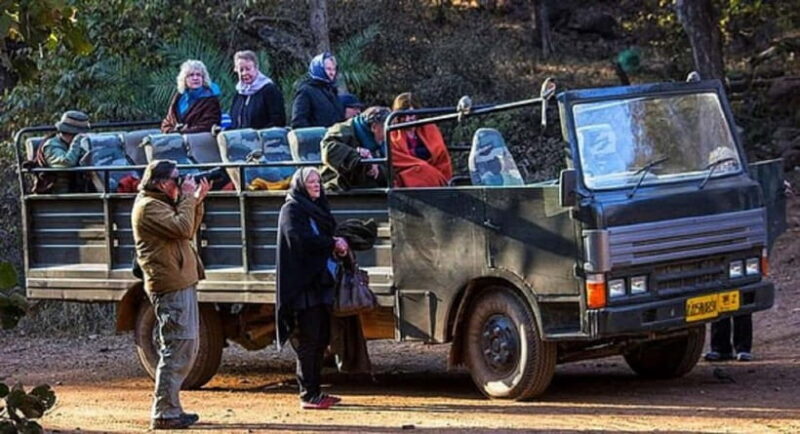 Ranthambore National Park: Jeep or Canter Safari - A Closer Look at the Safari Experience