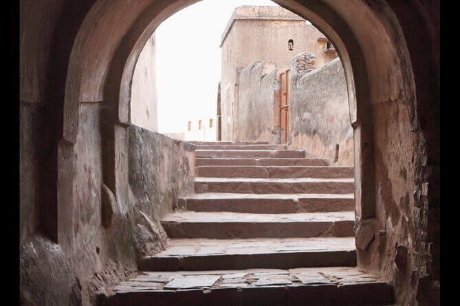 Ranthambore national park Safari Booking Jeep & Canter Tours - The Importance of Planning Ahead