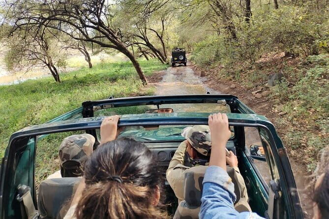 Ranthambore national park Safari Booking Jeep & Canter Tours - Price and Value Analysis