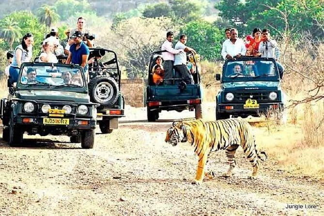 Ranthambore national park Safari Booking Jeep & Canter Tours - The Sum Up
