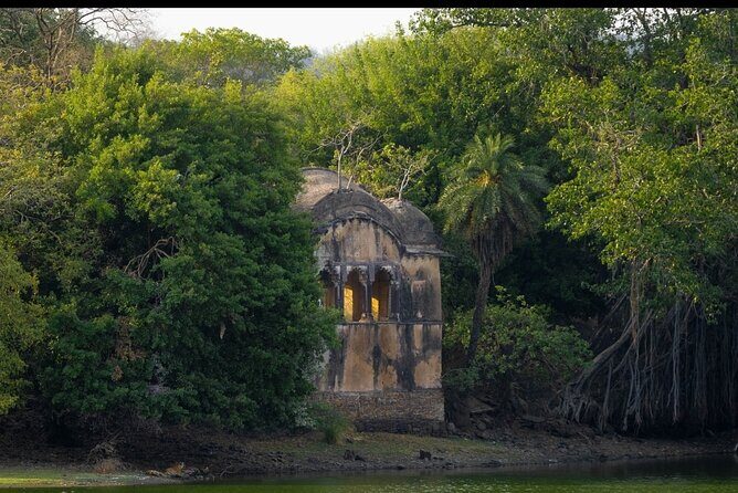 Ranthambore Safari Booking - Final Recommendations