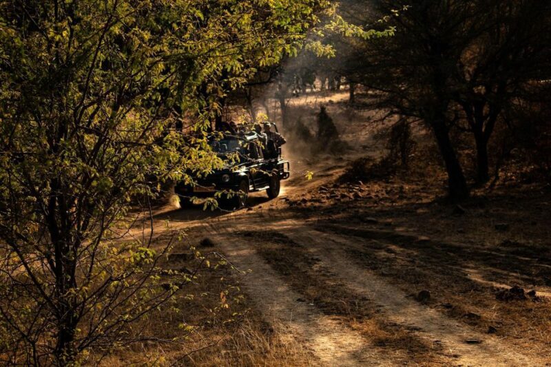 Ranthambore safari by Canter ( 20 seater bus) - Practical Tips for Your Safari