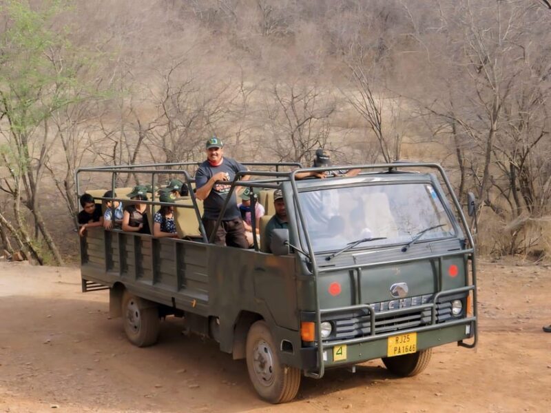 Ranthambore: Skip-the-Line Tiger Safari in Sharing Canter - The Sum Up: Is This Safari Right for You?