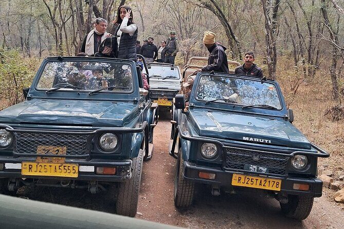 Ranthambore Tiger Reserve Private Gypsy Safari All inclusive - Why Consider the Ranthambore Private Gypsy Safari?