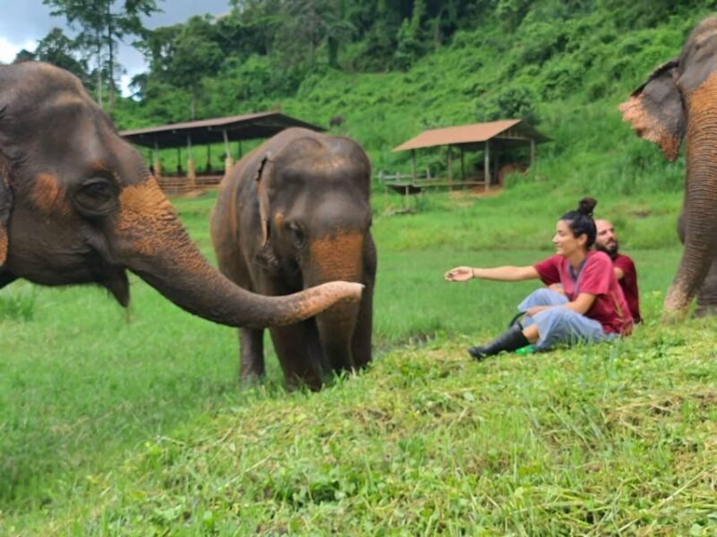 Rantong elephant sanctuary Chiangmai - Who Will Love This Experience?