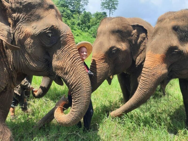 Rantong elephant sanctuary Chiangmai - FAQs