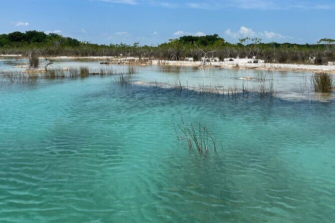 Rapids EN Bacalar Tour from Cancun and Riviera Maya - A Day in Bacalar: What to Expect