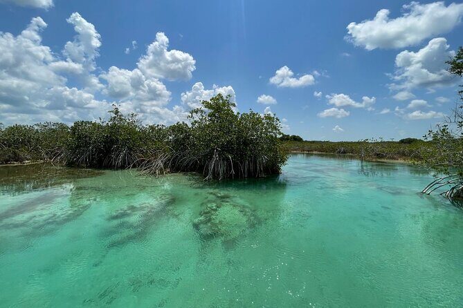 Rapids EN Bacalar Tour from Cancun and Riviera Maya - Who Would Enjoy This Tour?