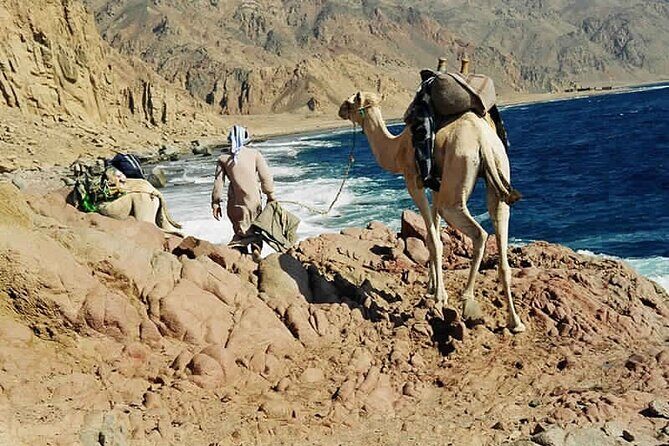 Ras Abu Gallum & Blue Hole Snorkel Safari by Jeep and camel - A Full-Day Adventure in Dahab’s Natural Wonders