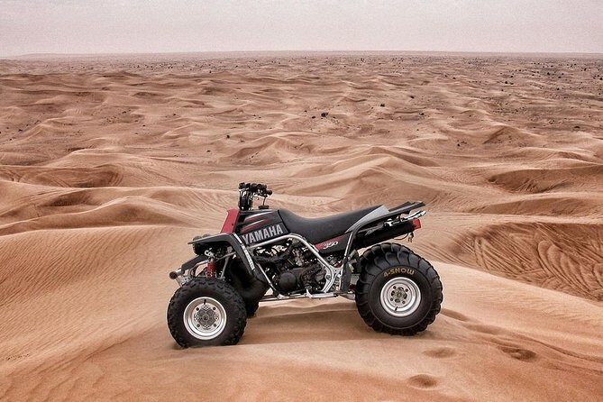 Ras Al khaimah 90 Minutes Quad Biking Tour - The Itinerary in Detail