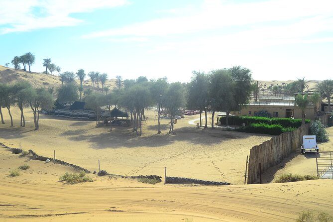 Ras Al Khaimah: Afternoon Desert Safari and BBQ Dinner - Who Should Consider This Tour?