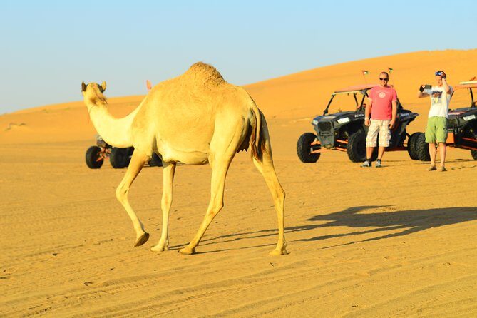 Ras Al Khaimah: Afternoon Desert Safari and BBQ Dinner - Frequently Asked Questions