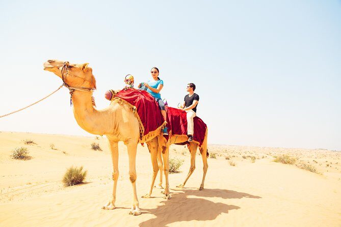 Ras Al-Khaimah: Desert Safari Fun & Adventure Trip with Dinner - FAQ