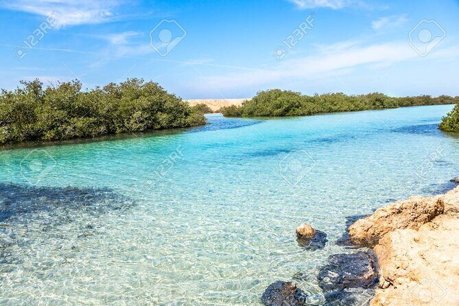 Ras Mohamed and White Island Snorkeling Trip and One Stop Diving-Sharm El Shiekh - The Itinerary: What to Expect on This Red Sea Day Trip