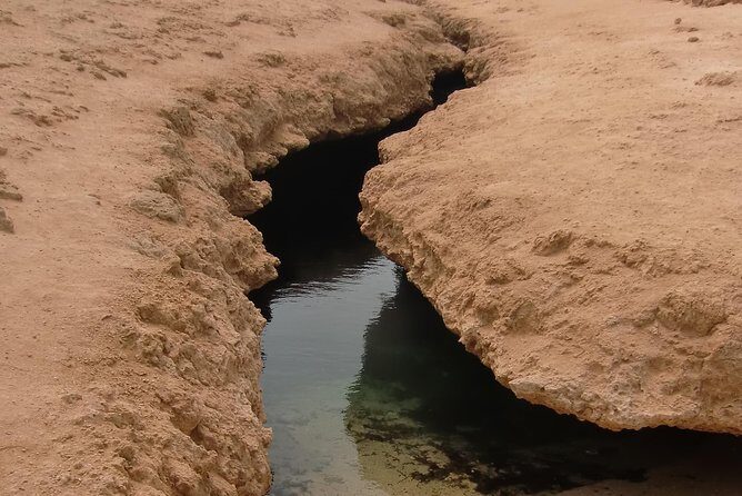 Ras Mohamed by Bus from Sharm elsheikh - Introduction: A Practical Look at Ras Mohamed by Bus from Sharm el Sheikh