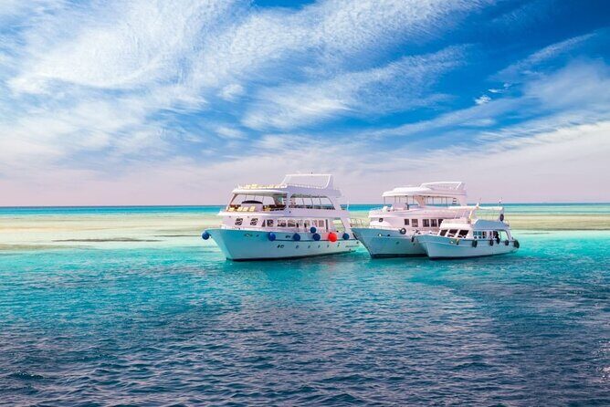 Ras Mohamed by bus & snorkelling & magic lake in Sharm El Sheikh - What to Expect from This Ras Mohamed Tour