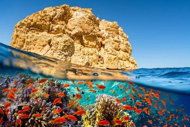 Ras Mohamed by Bus with Snorkeling and Magic Lake From Sharm - The Benefits of Guided Snorkeling