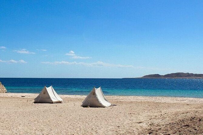 Ras Mohamed National Park by Bus Half Day - Sharm ElSheikh - An In-Depth Look at the Tour