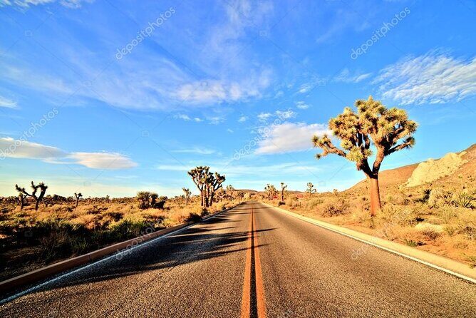 Ras Mohamed National Park Half Day by Bus - Sharm El Sheikh - An Introduction to the Ras Mohamed National Park Half Day Tour