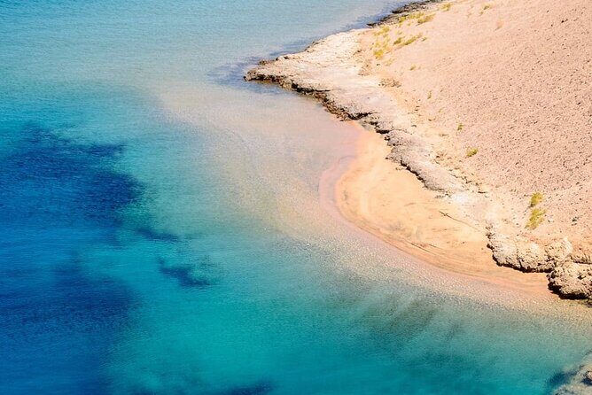 Ras Mohamed National Park Half Day by Bus - Sharm El Sheikh - The Value of This Tour