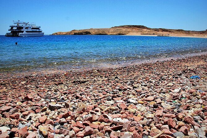 Ras Mohamed National Park Half Day Sea Trip by Bus- Sharm ElSheikh - Who Is This Tour Best For?