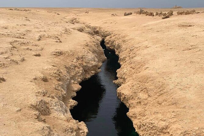 Ras Mohamed National Park Half Day Tour by Bus In Sharm El Sheikh - Why Choose This Tour?