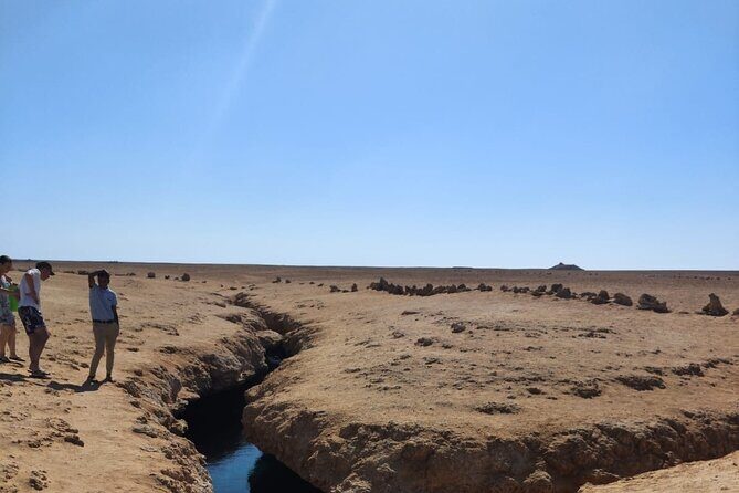 Ras Mohamed National Park Half Day Tour by Bus In Sharm El Sheikh - Final Thoughts: Who Will Love This Experience?