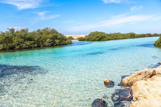 Ras Mohamed National Park Half Day Tour by Bus In Sharm El Sheikh - FAQ: Your Questions Answered