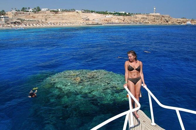 Ras Mohamed Park and the White Island snorkeling tour by boat - The Value of This Tour