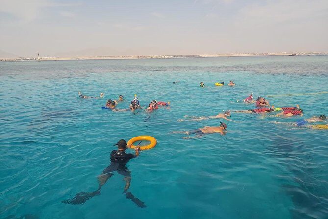 Ras Mohamed & White Island Experience Sharm El Sheikh - Real Experiences from Travelers