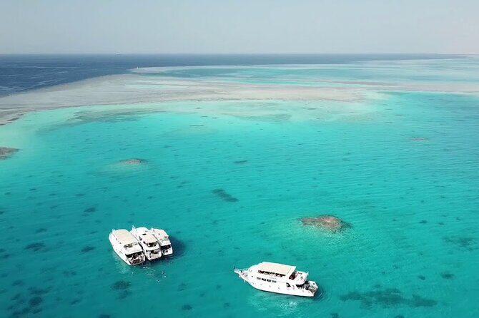 Ras Mohamed & White Island from Sharm El Sheikh by boat - An Overview of the Tour Experience
