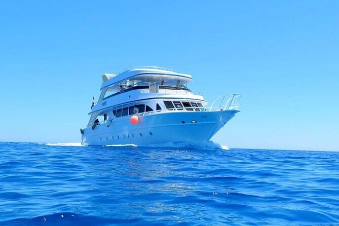 Ras Mohamed & White Island, Snorkeling & Diving - Sharm el sheikh - Is This Tour Worth It?