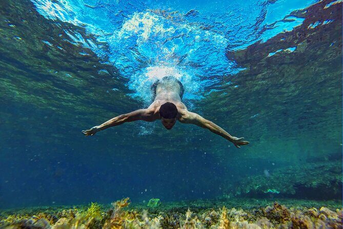 Ras Mohamed & White Island, Snorkeling & Diving - Sharm el sheikh - Final Thoughts