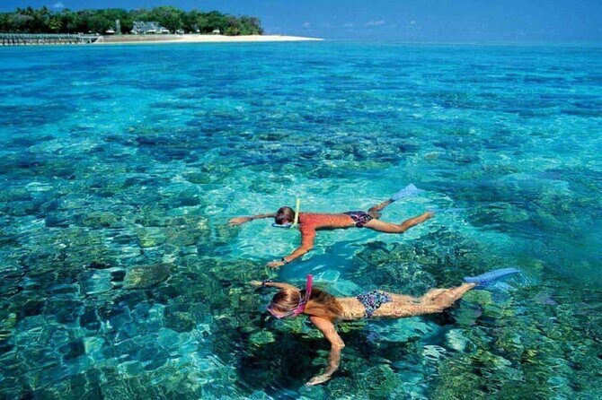 Ras Mohammed And White Island By Boat Trip In Sharm El Sheikh - The Sum Up