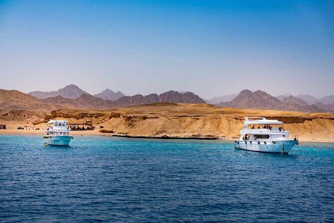 Ras Mohammed and White Island Snorkeling Sea Trip with Lunch - Key Points