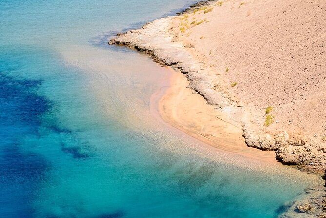 Ras Mohammed Diving Day Trip from Sharm el-Sheikh - What do travelers love most?