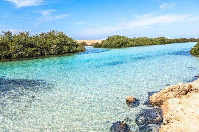 Ras Mohammed Diving Day Trip from Sharm el-Sheikh - Final thoughts