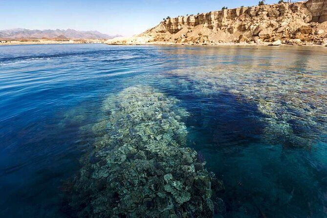 Ras Mohammed Diving & White Island Luxurious Cruise with Lunch - An Overview of the Experience