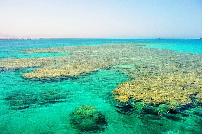 Ras Mohammed From Sharm El Sheikh by a private car - Final Thoughts: Is It Worth It?