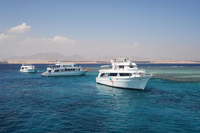 Ras Mohammed & White Island boat trip incl lunch and entrance fee - Final Thoughts: Who Should Consider This Tour?