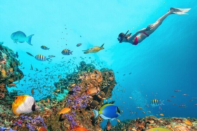 Ras Muhammed & White Island By Boat sea Trip - Sharm El Sheikh - Final Thoughts: Is This Tour Worth It?