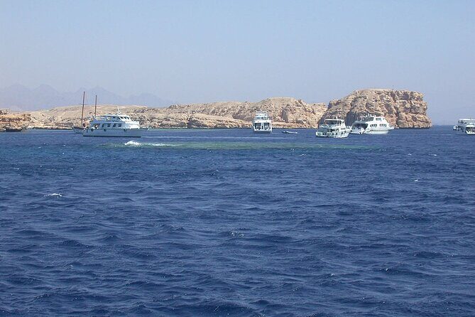 Ras Muhammed & White Island Snorkeling Sea Trip - Sharm El Sheikh - Authentic Experiences and Feedback
