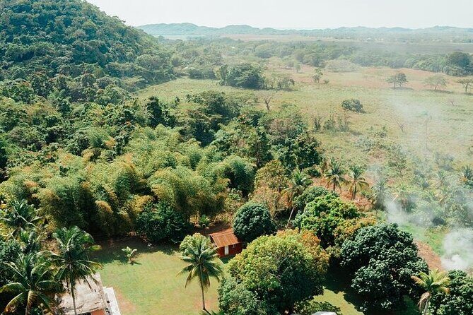 Rastafari Cultural ATV Community Experience from Negril - Starting Point: From Resort to Rugged Terrain