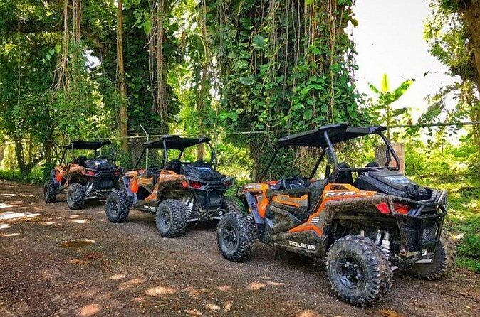 Rastafari Cultural ATV Community Experience from Negril - Logistics and Practicalities