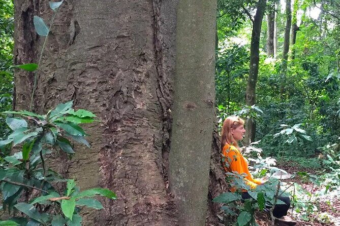 Rau Forest Bike tour - Introduction