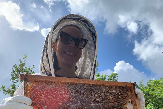 Reagans Honey Beekeeping Adventure - Key Points
