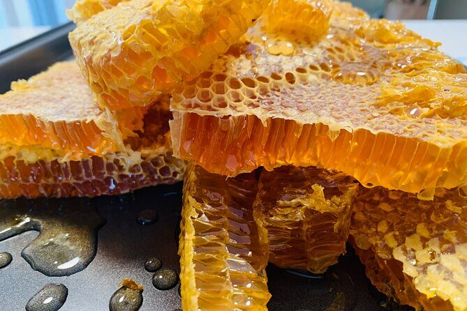 Reagans Honey Beekeeping Adventure - A Closer Look at the Experience