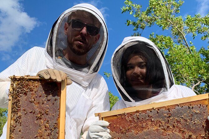 Reagans Honey Beekeeping Adventure - The Bottom Line